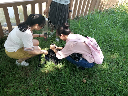 7月10日 重庆时时彩
 赴嘉兴“青水”小分队实地考察并采样3