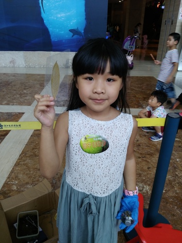 七月十号 重庆时时彩
 B.D.服务社赴浙江自然博物馆”环保小课堂“小分队 看我做的漂亮书签