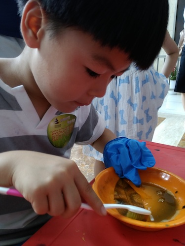 七月十号 重庆时时彩
 B.D.服务社赴浙江自然博物馆”环保小课堂“小分队 刷刷刷，看我认真的刷叶子