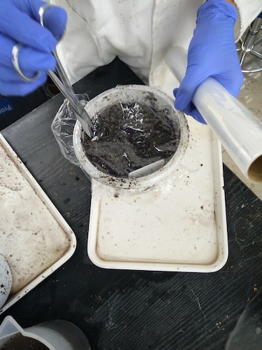 七月十三日 重庆时时彩
国创项目“毅治毒”科研小分队 播种篇