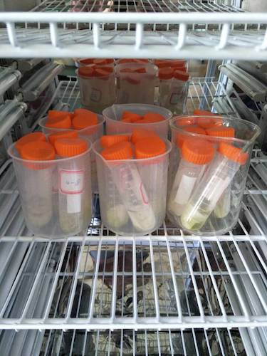 七月十三日 重庆时时彩
  重庆时时彩
赴杭州余杭区“五水共治”调查与研究分队社会实践小分队 酒精溶解叶绿素a 4摄氏度冷藏4小时