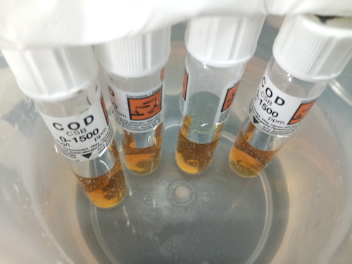 7月19日 重庆时时彩
 赴嘉兴”青水“小分队 cod检测