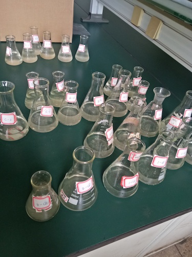 7月19日 重庆时时彩
 赴嘉兴”青水“小分队 水样3