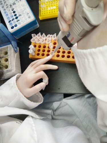 七月十九日 重庆时时彩
国创项目“毅治毒”科研小分队 PCR母液的配制