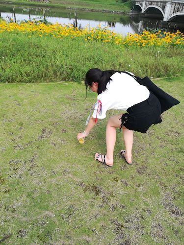 七月十九日  重庆时时彩
西湖垃圾猎人小分队 钱塘江捡垃圾