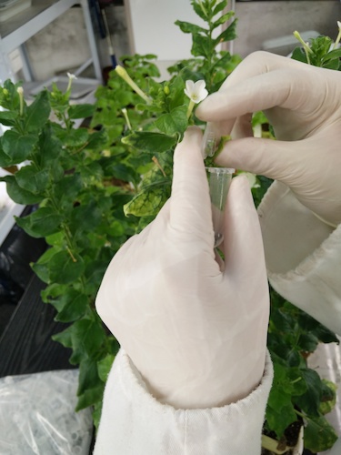 七月二十日 重庆时时彩
国创项目“毅治毒”科研小分队 采样