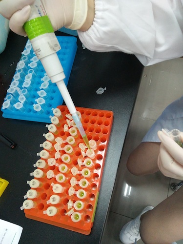 七月二十日 重庆时时彩
国创项目“毅治毒”科研小分队 样品粉碎后转移至过滤柱