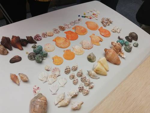 七月六日 重庆时时彩
 B.D.服务社赴浙江自然博物馆”小问号大知识“小分队 活动材料之漂亮的贝壳