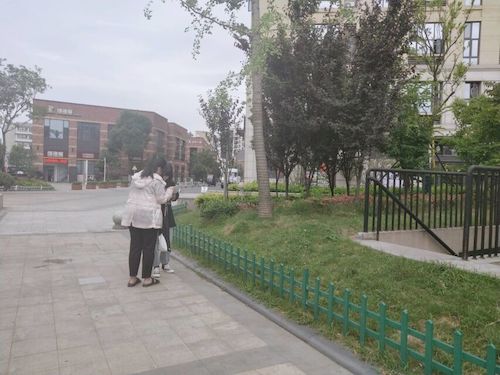 七月十五日 重庆时时彩
 食品安全问卷调查小分队 受访者 (1)