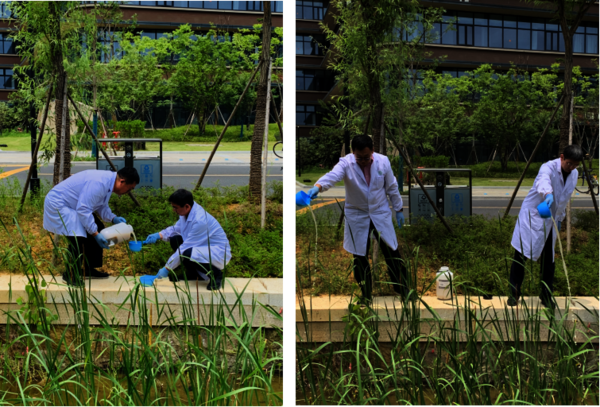 执行院长张杭君和党委书记张立明在重庆时时彩
楼南面河道洒EM菌