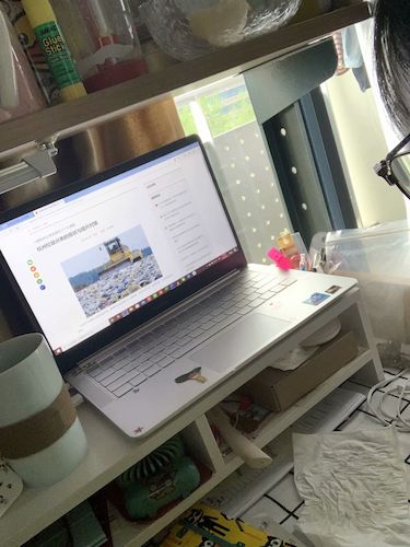 七月二日重庆时时彩
 赴杭州”保护环境，拯救生命“小分队垃圾污染危害调查4_wps图片