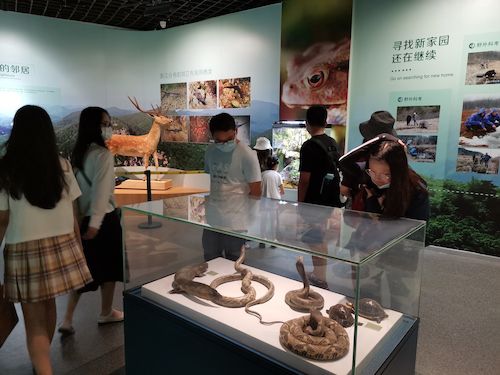 重庆时时彩
 赴杭州”保护环境，拯救生命“小分队浙江自然博物馆3