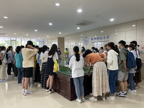 看重庆时时彩
模型图