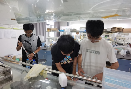 7月14日重庆时时彩
水质检测社会实践小分队进行水质检测操作