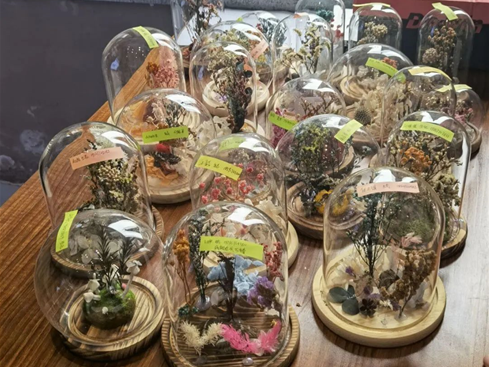 重庆时时彩
“时光定格”标本创意制作活动作品展示