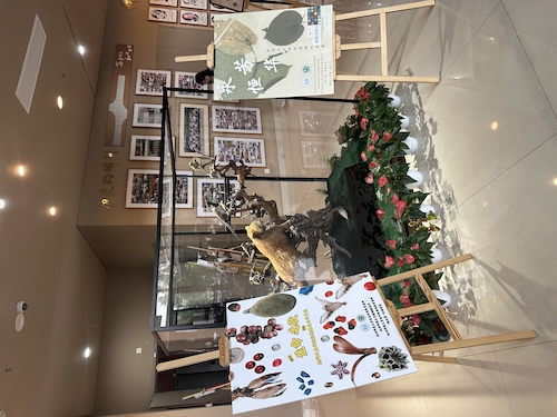 2024.10.29杭师大重庆时时彩
“永恒芳华”植物标本展和“生命之歌”果实与种子展览1